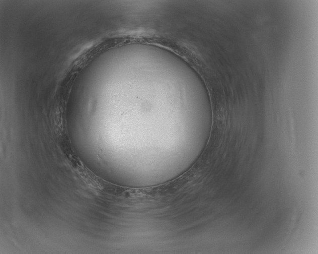 X0000060271398200511241442