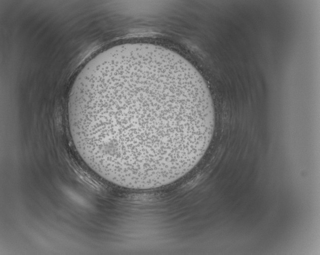 X0000060271401200511241442