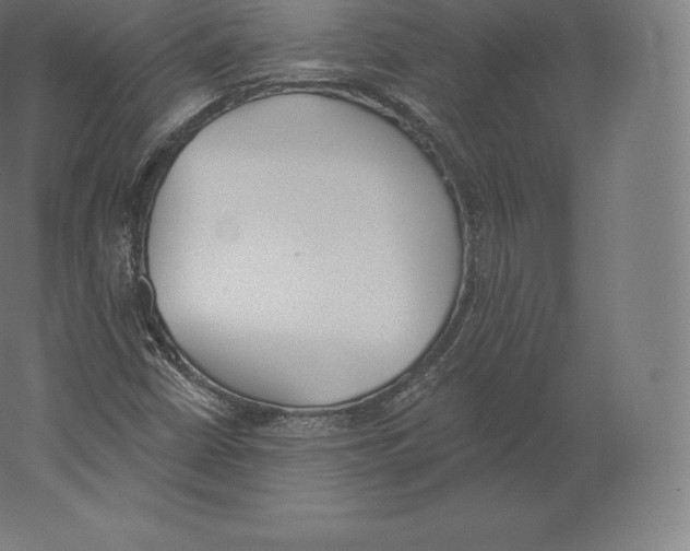 X0000060271402200511241442