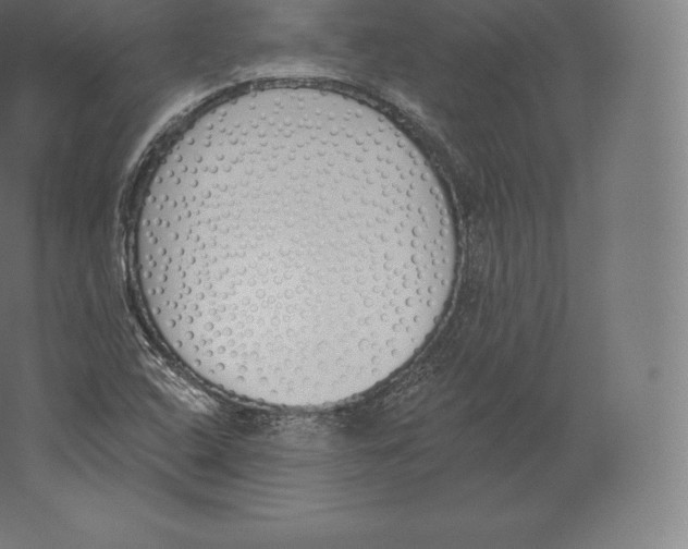 X0000060271408200511241442