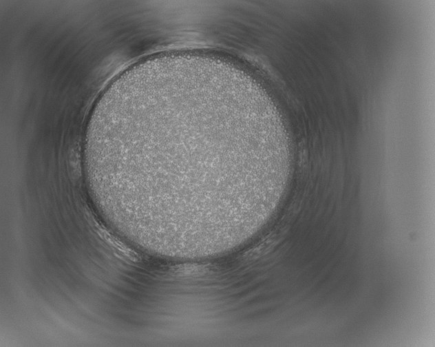 X0000060271409200511241442