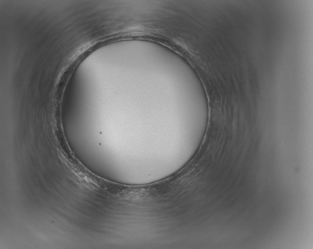 X0000060271410200511241442