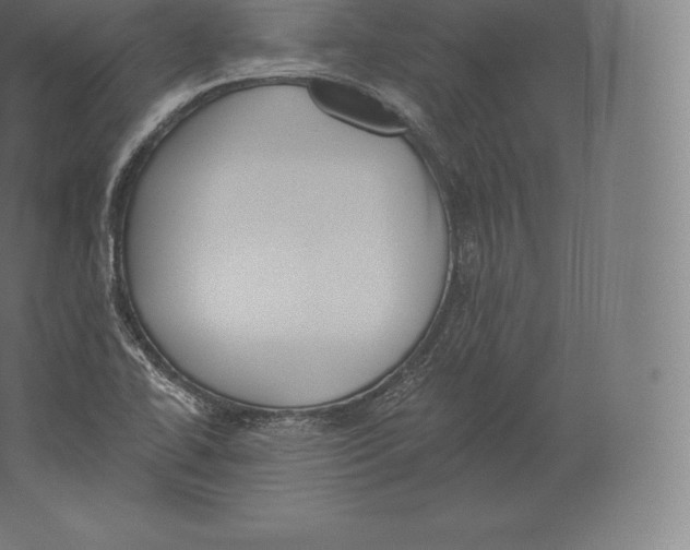 X0000060271414200511241442