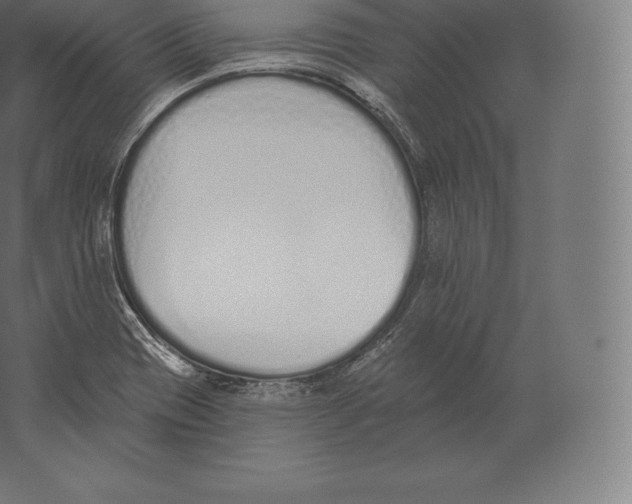 X0000060271417200511241442