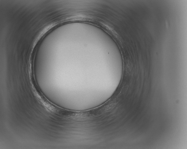 X0000060271418200511241442