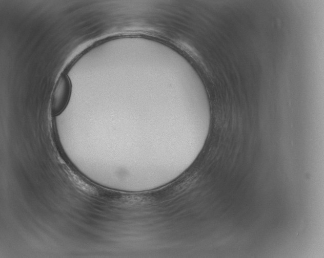 X0000060271420200511241442