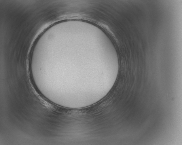 X0000060271424200511241442