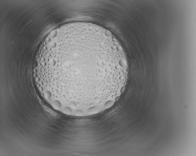 X0000060271425200511241442