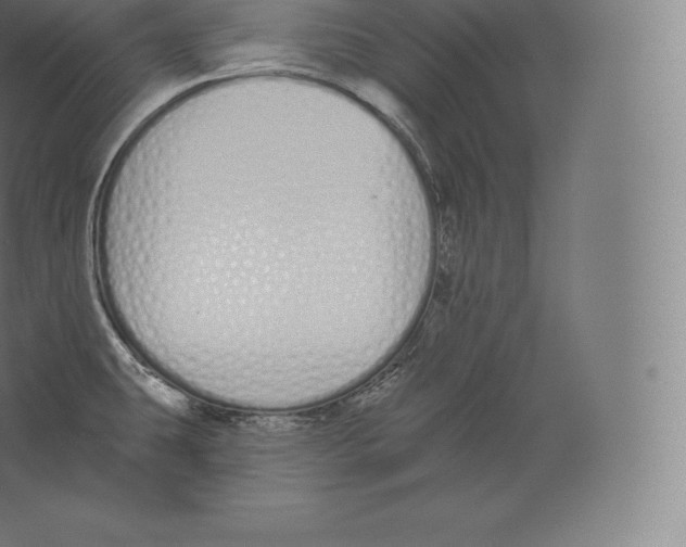 X0000060271431200511241442