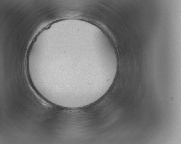 X0000060271432200511241442