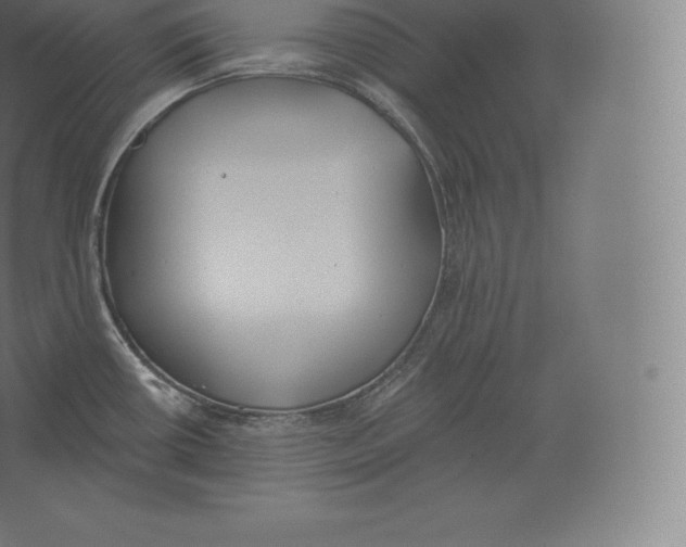 X0000060271434200511241442