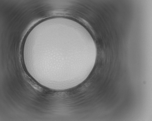 X0000060271435200511241442