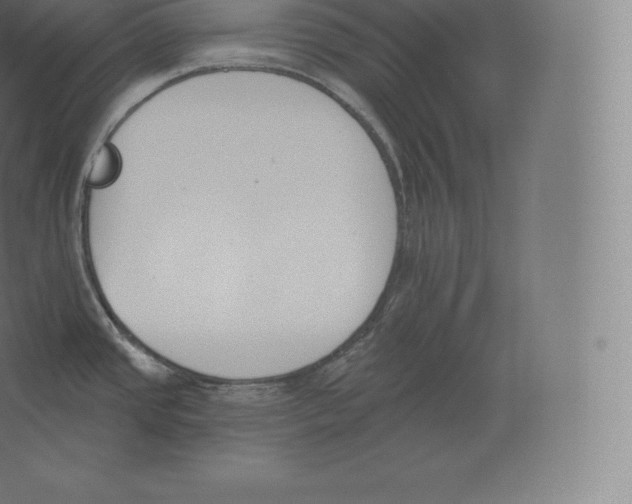 X0000060271437200511241442