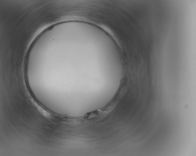 X0000060271438200511241442