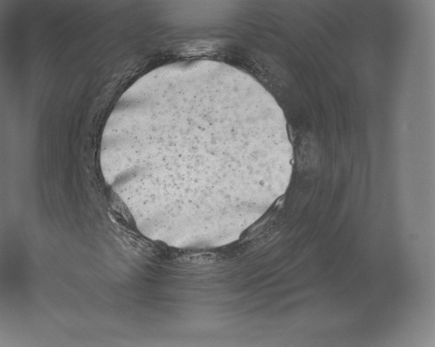 X0000060271441200511241442