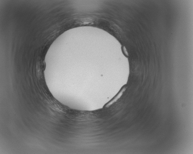 X0000060271442200511241442