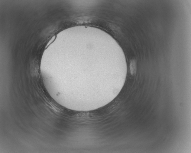 X0000060271444200511241442