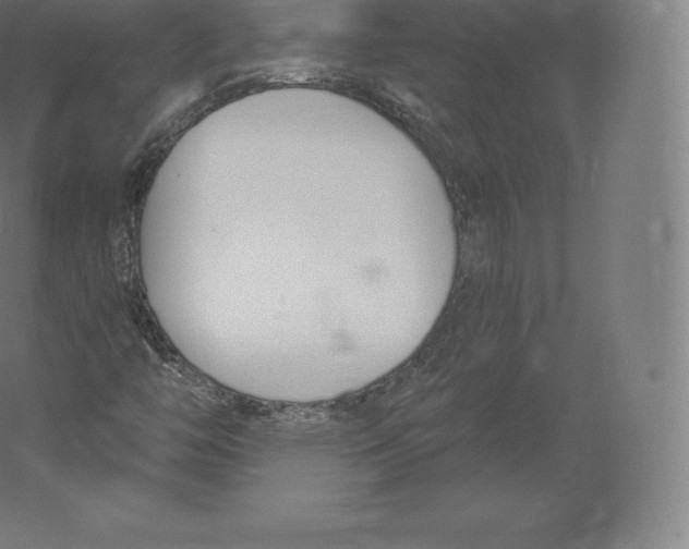 X0000060271446200511241441