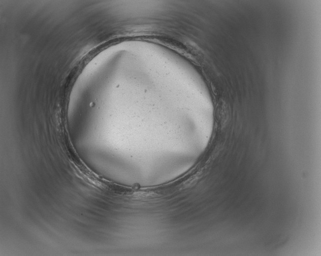 X0000060271449200511241441