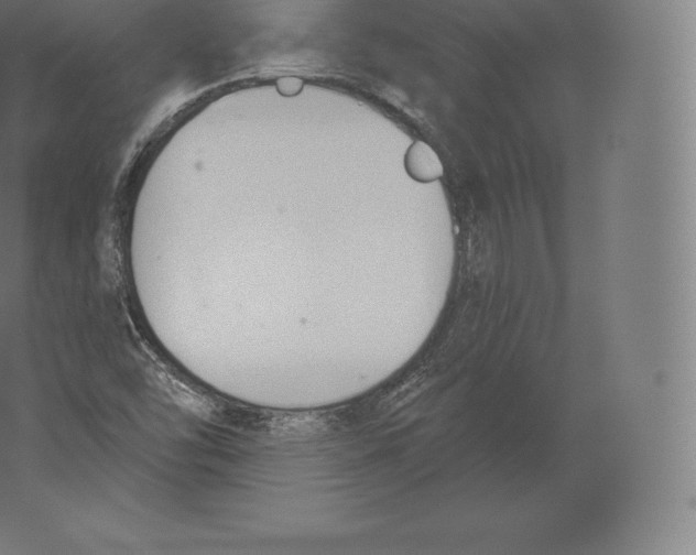 X0000060271454200511241441