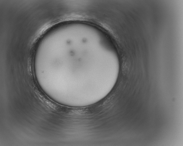 X0000060271455200511241441