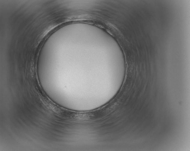 X0000060271457200511241441