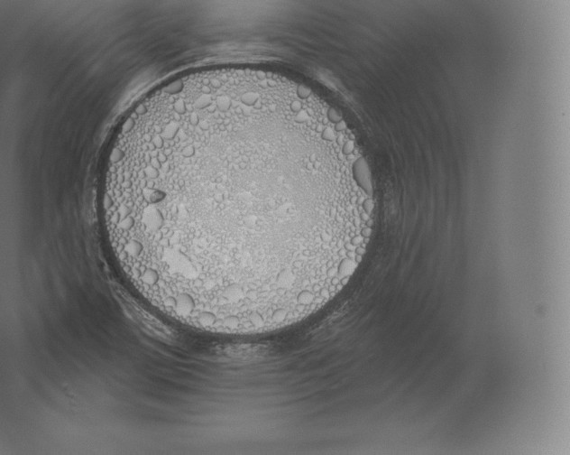 X0000060271459200511241441