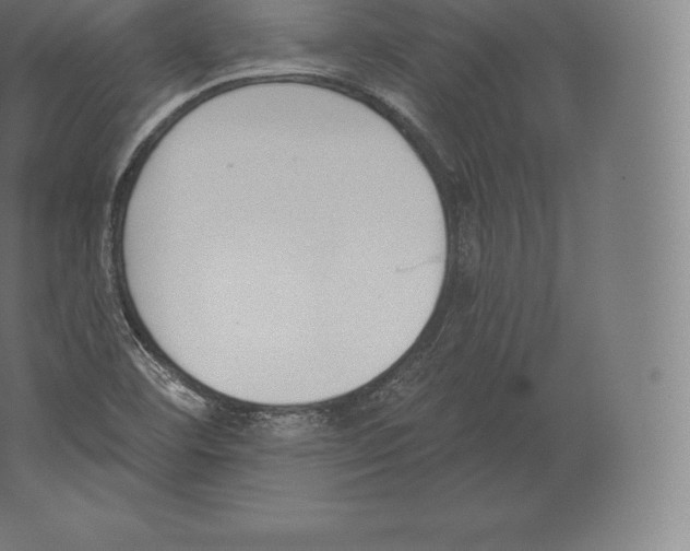 X0000060271460200511241441