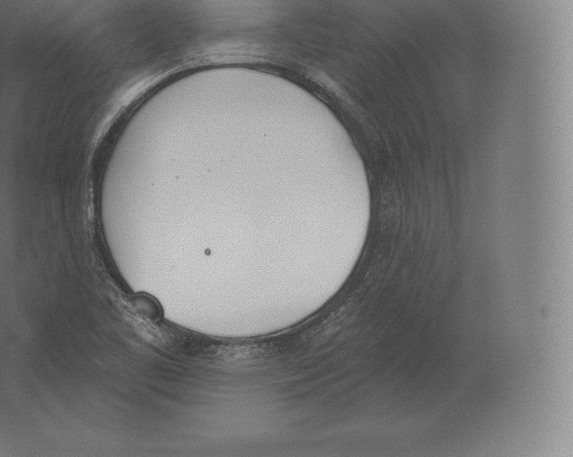 X0000060271461200511241441