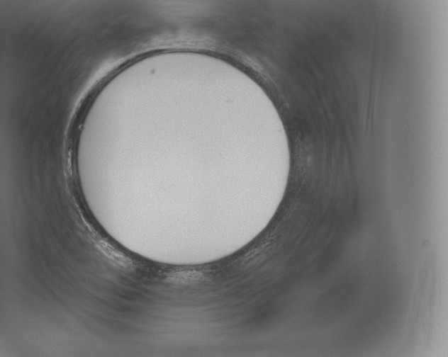 X0000060271462200511241441