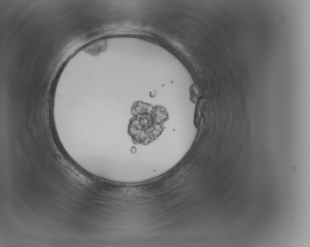 X0000060271463200511241441