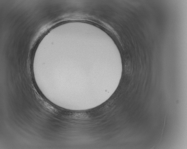 X0000060271464200511241441