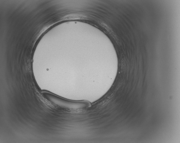 X0000060271465200511241441