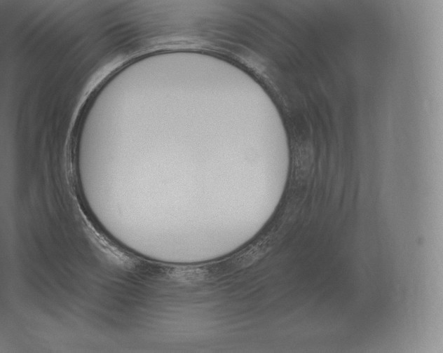 X0000060271466200511241441