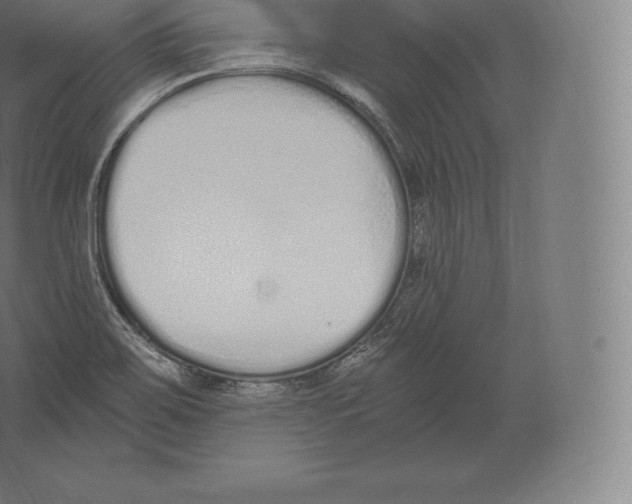 X0000060271467200511241441