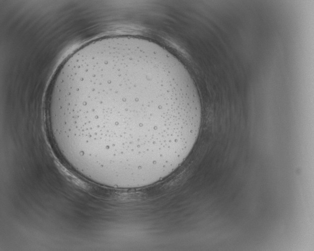 X0000060271471200511241441