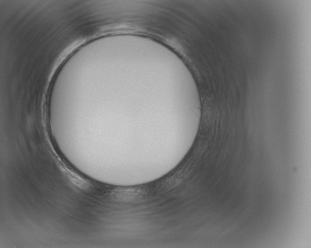 X0000060271474200511241441