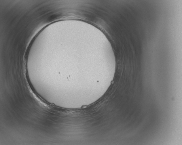 X0000060271476200511241441