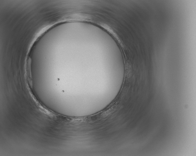 X0000060271477200511241441