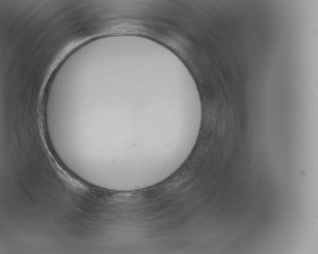 X0000060271478200511241441