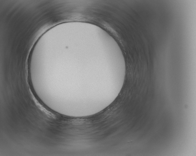 X0000060271479200511241441