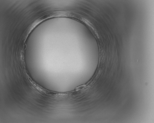 X0000060271481200511241441