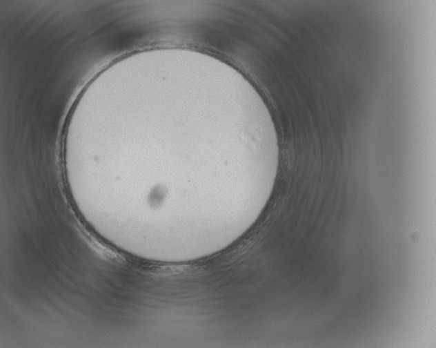 X0000060271482200511241441