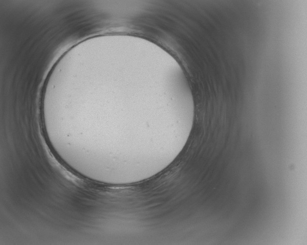 X0000060271483200511241441