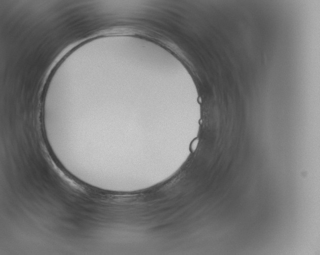 X0000060271484200511241441