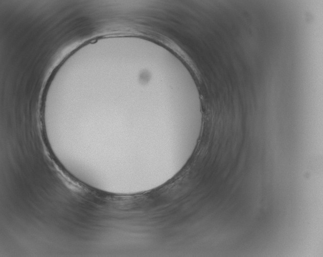 X0000060271485200511241441