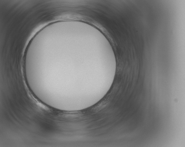 X0000060271486200511241441