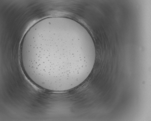 X0000060271487200511241441