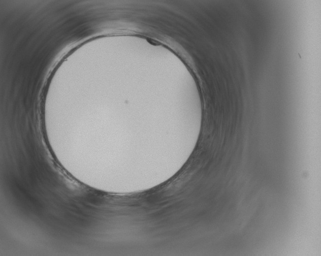 X0000060271488200511241441