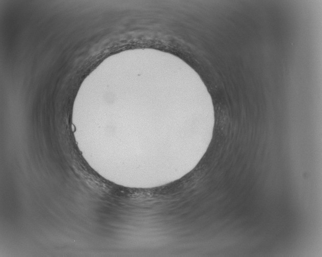 X0000060271489200511241440